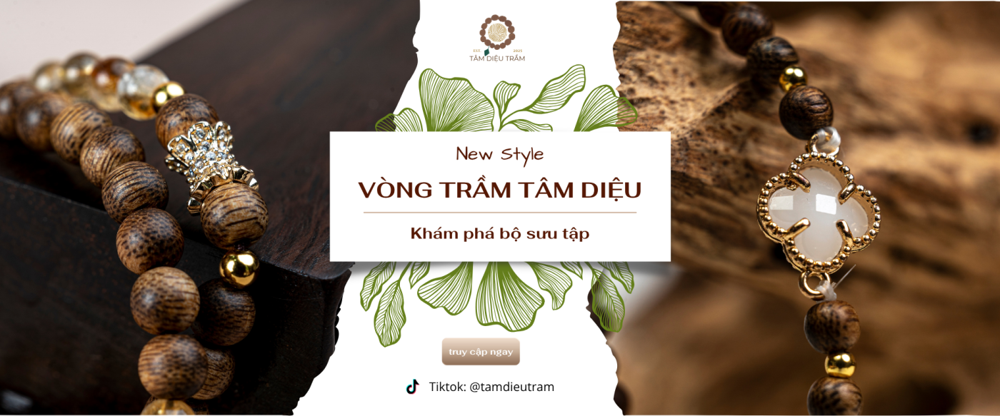 Giới thiệu trang chủ Tâm Diệu Trầm
