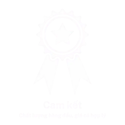 cam kết tâm diệu trầm