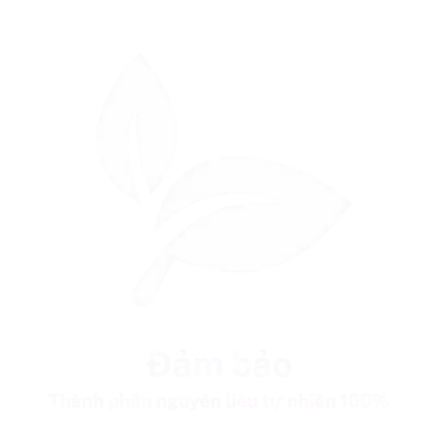 Đảm bảo an toàn Tâm Diệu